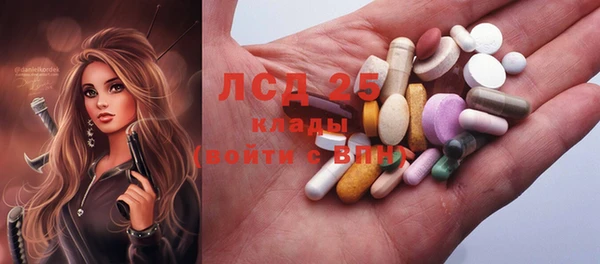 индика Балабаново