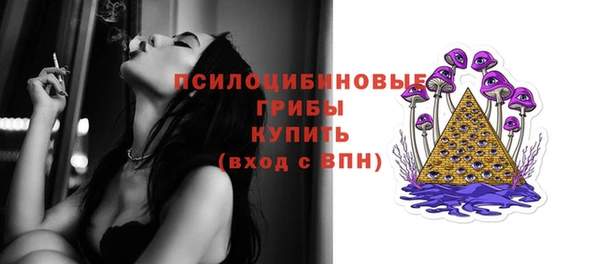 индика Балабаново