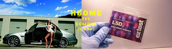 индика Балабаново