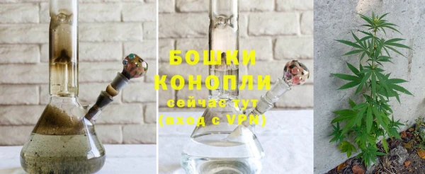 индика Балабаново