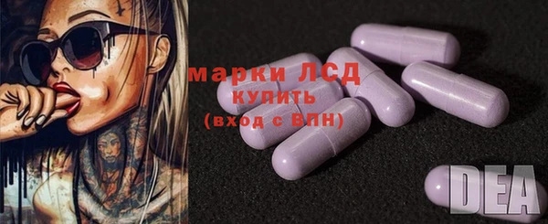 индика Балабаново