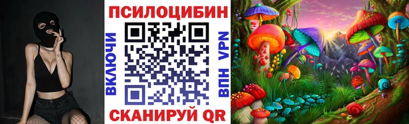 Купить  Киржач  Галлюциногенные грибы MAGIC MUSHROOMS 